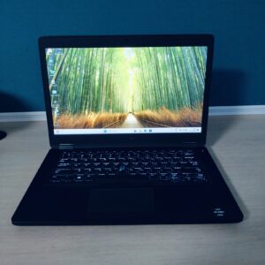 Dell Latitude 5495