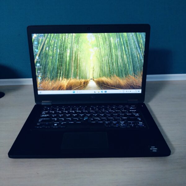 Dell Latitude 5495
